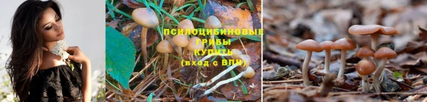 винт Белокуриха
