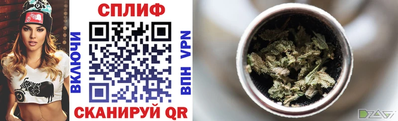 гидра ONION Шагонар Бошки Шишки White Widow